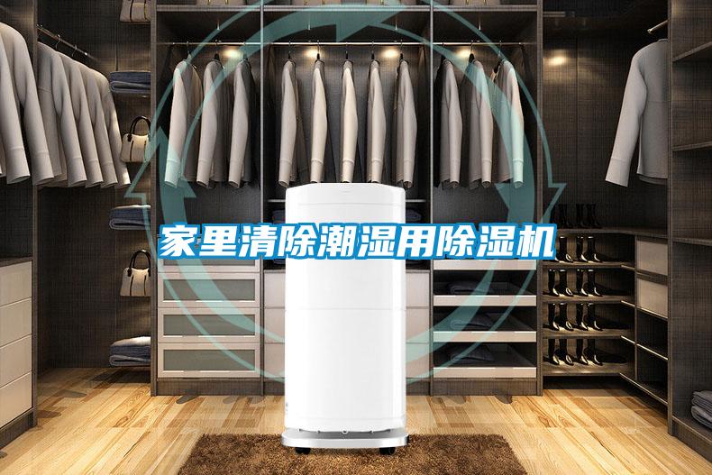 家里清除潮湿用草莓视频黄色在线观看机
