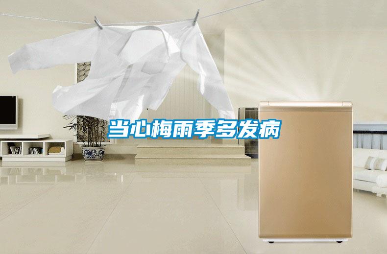 当心梅雨季多发病