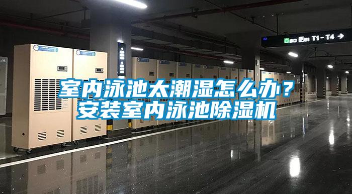 室内泳池太潮湿怎么办？安装室内泳池草莓视频黄色在线观看机