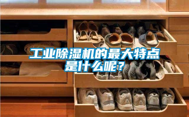 工业草莓视频黄色在线观看机的最大特点是什么呢？