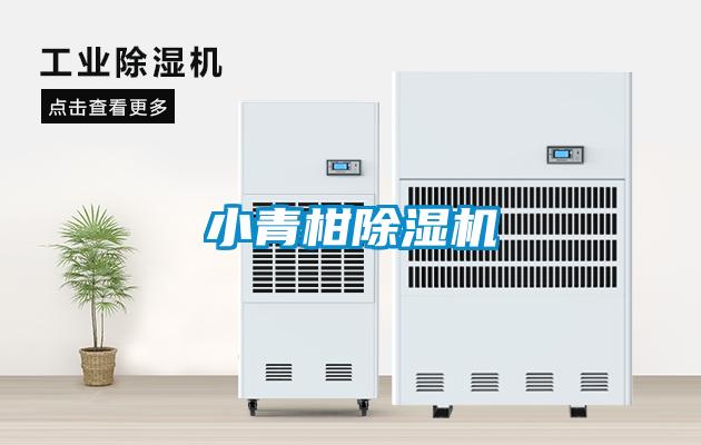 小青柑草莓视频黄色在线观看机
