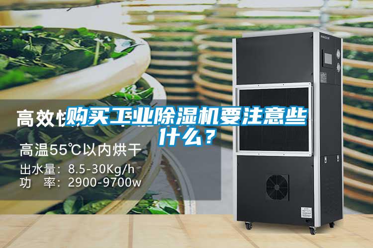 购买工业草莓视频黄色在线观看机要注意些什么？