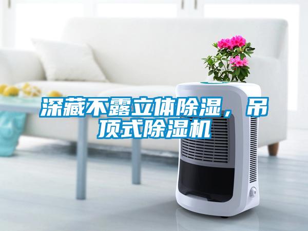 深藏不露立体草莓视频黄色在线观看，吊顶式草莓视频黄色在线观看机