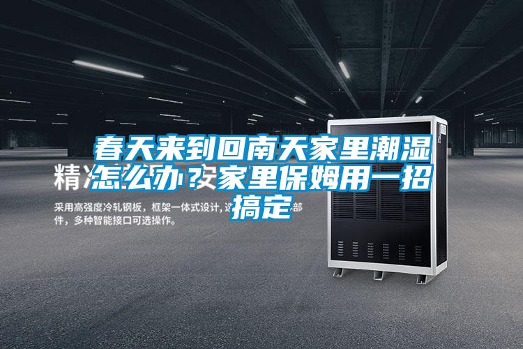 春天来到回南天家里潮湿怎么办？家里保姆用一招搞定