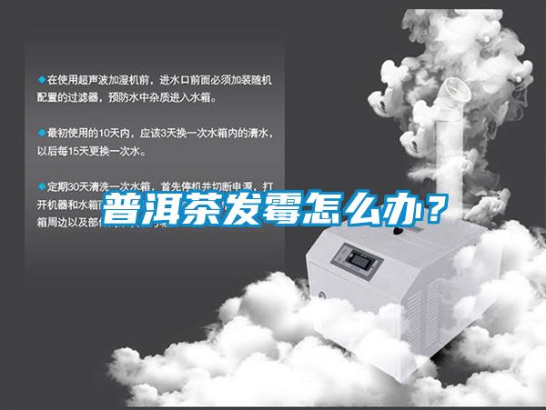 普洱茶发霉怎么办？