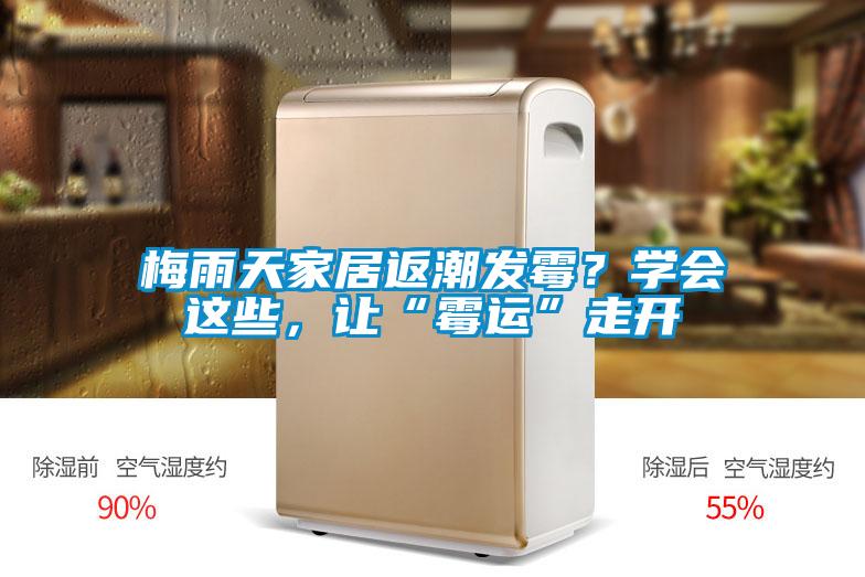 梅雨天家居返潮发霉？学会这些，让“霉运”走开