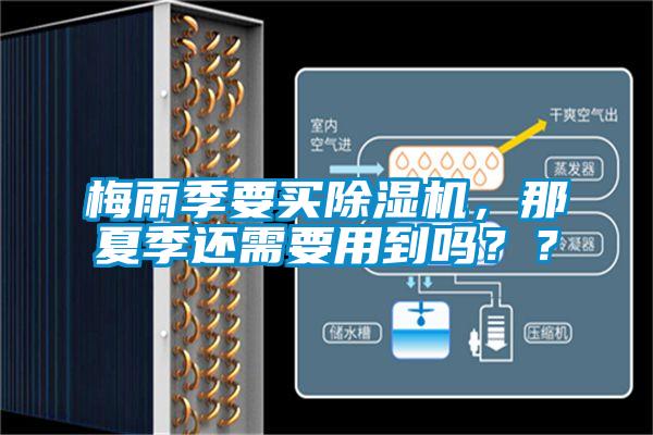 梅雨季要买草莓视频黄色在线观看机，那夏季还需要用到吗？？