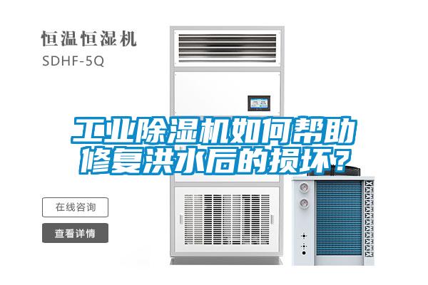 工业草莓视频黄色在线观看机如何帮助修复洪水后的损坏？