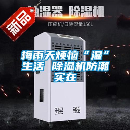 梅雨天烦恼“湿”生活 草莓视频黄色在线观看机防潮实在