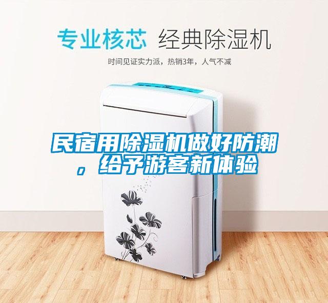 民宿用草莓视频黄色在线观看机做好防潮，给予游客新体验
