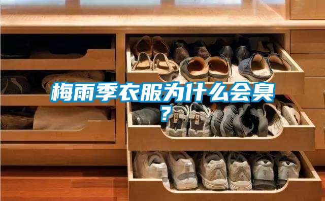 梅雨季衣服为什么会臭？