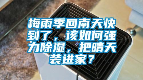 梅雨季回南天快到了，该如何强力草莓视频黄色在线观看，把晴天装进家？