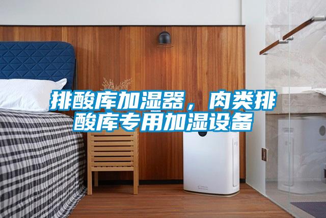 排酸库加湿器，肉类排酸库专用加湿设备