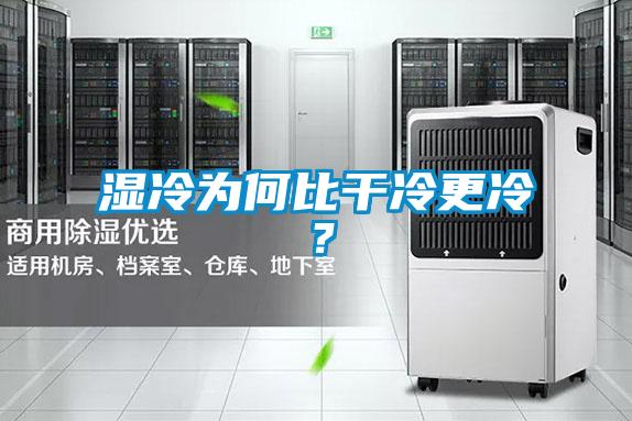 湿冷为何比干冷更冷？