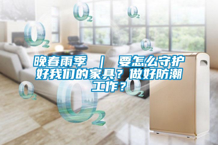 晚春雨季 ｜ 要怎么守护好草莓视频下载安装的家具？做好防潮工作？
