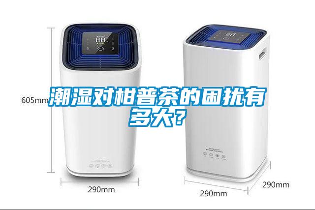 潮湿对柑普茶的困扰有多大？