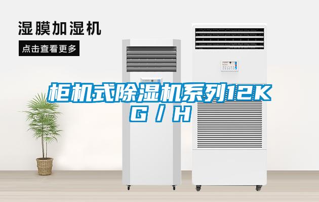 柜机式草莓视频黄色在线观看机系列12KG／H