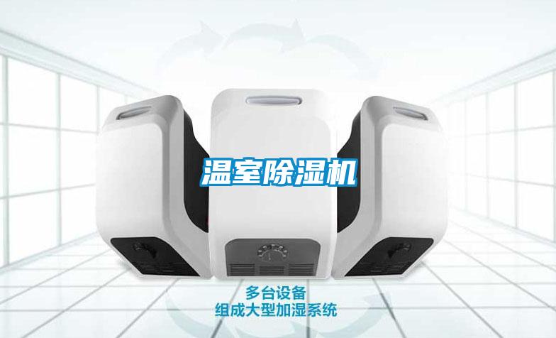 温室草莓视频黄色在线观看机