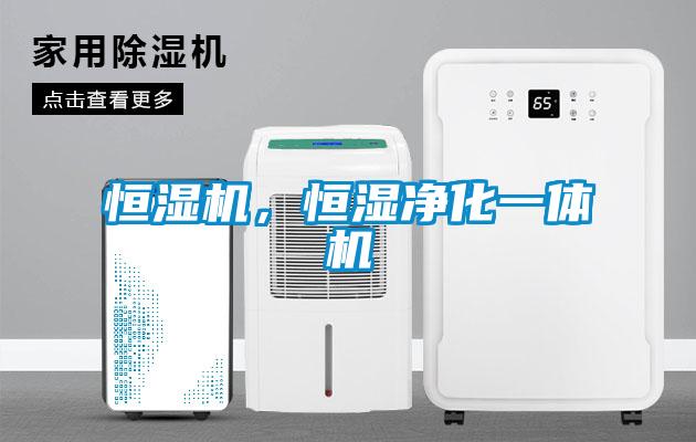 恒湿机，恒湿净化一体机