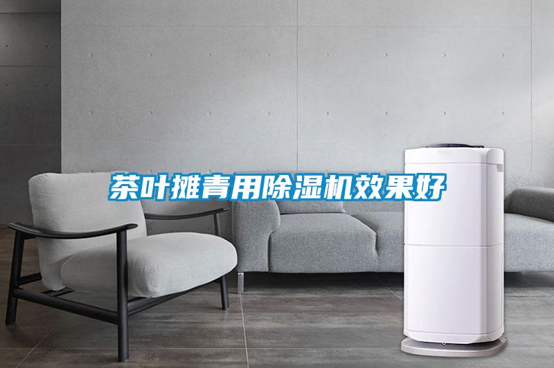 茶叶摊青用草莓视频黄色在线观看机效果好