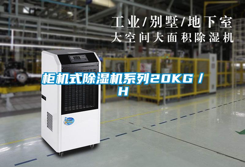 柜机式草莓视频黄色在线观看机系列20KG／H