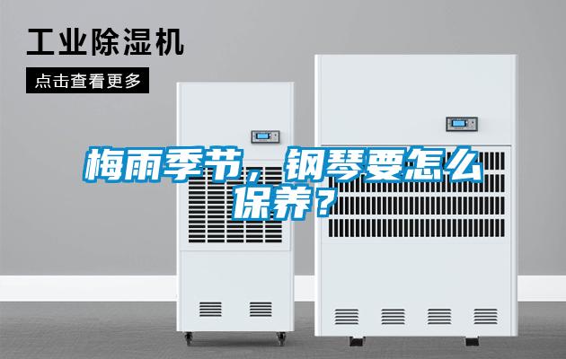 梅雨季节，钢琴要怎么保养？