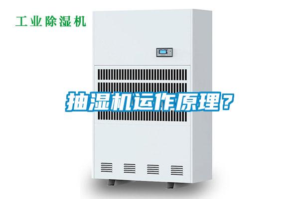 抽湿机运作原理？