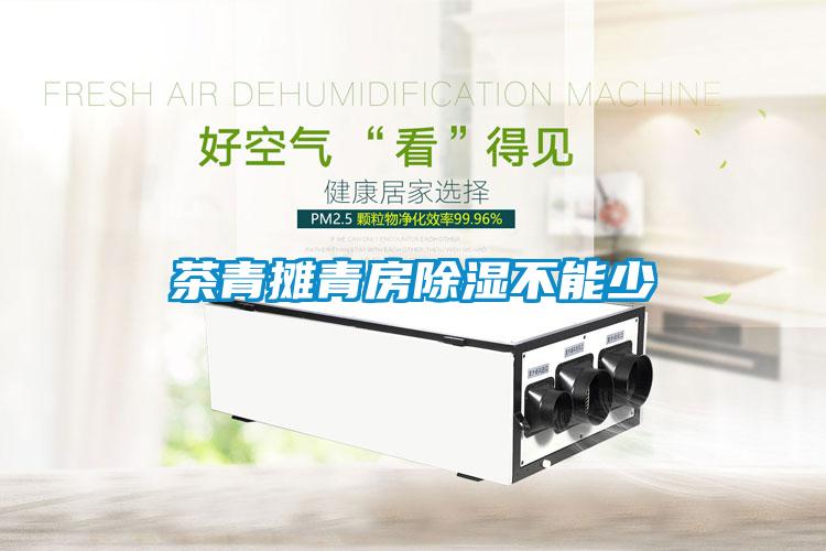 茶青摊青房草莓视频黄色在线观看不能少
