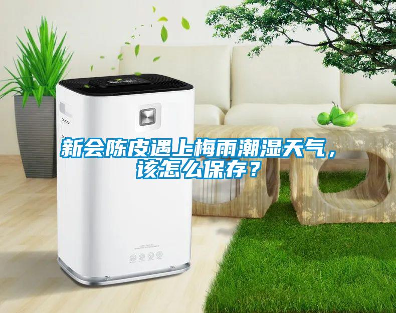 新会陈皮遇上梅雨潮湿天气，该怎么保存？