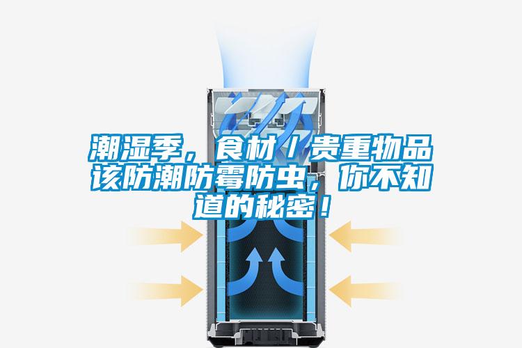潮湿季，食材／贵重物品该防潮防霉防虫，你不知道的秘密！