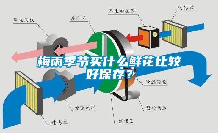 梅雨季节买什么鲜花比较好保存？