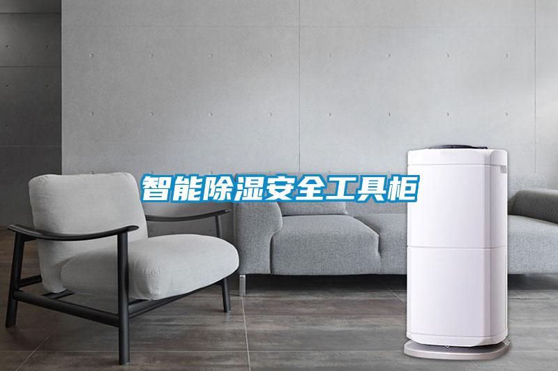 智能草莓视频黄色在线观看安全工具柜
