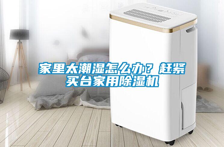 家里太潮湿怎么办？赶紧买台家用草莓视频黄色在线观看机