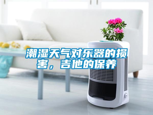 潮湿天气对乐器的损害，吉他的保养