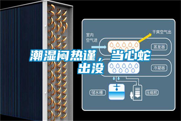 潮湿闷热谨，当心蛇出没