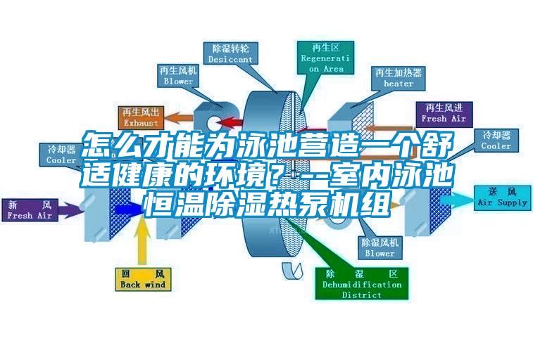 怎么才能为泳池营造一个舒适健康的环境?--室内泳池恒温草莓视频黄色在线观看热泵机组