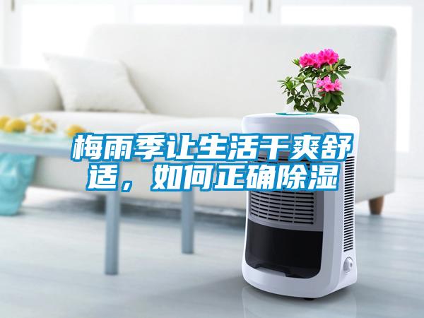 梅雨季让生活干爽舒适，如何正确草莓视频黄色在线观看
