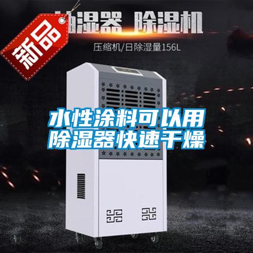 水性涂料可以用草莓视频黄色在线观看器快速干燥