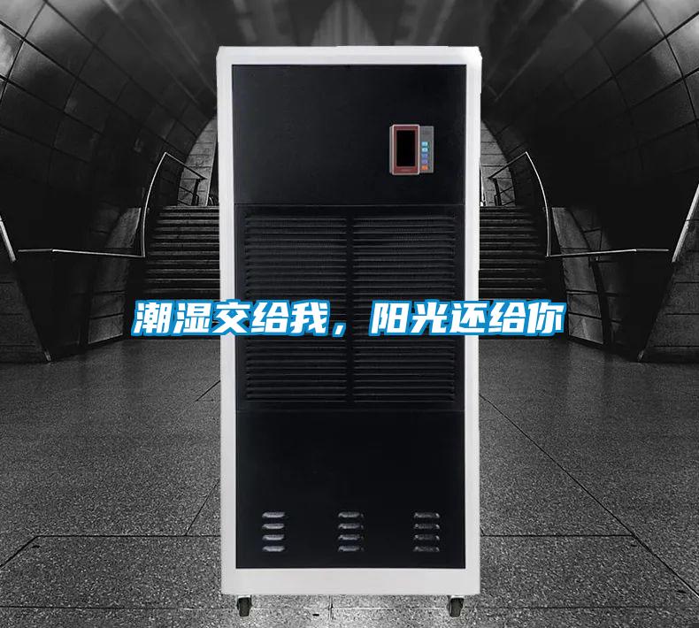 潮湿交给我，阳光还给你