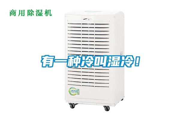 有一种冷叫湿冷！