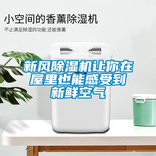 新风草莓视频黄色在线观看机让你在屋里也能感受到新鲜空气