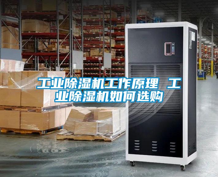 工业草莓视频黄色在线观看机工作原理 工业草莓视频黄色在线观看机如何选购