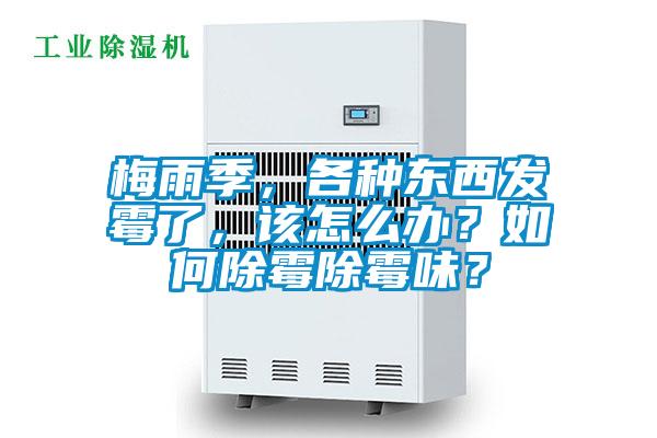 梅雨季，各种东西发霉了，该怎么办？如何除霉除霉味？