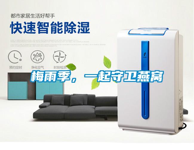 梅雨季，一起守卫燕窝