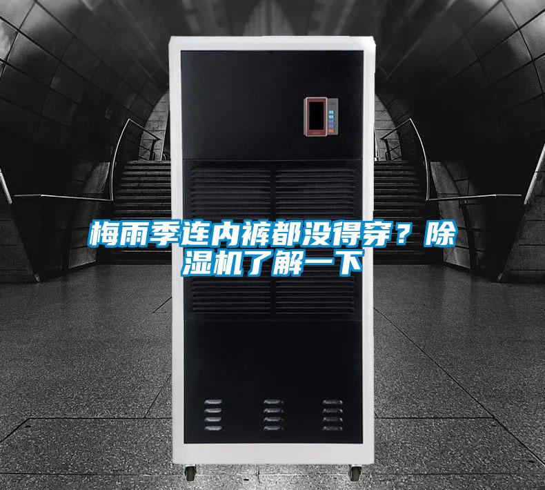 梅雨季连内裤都没得穿？草莓视频黄色在线观看机了解一下