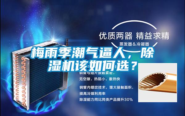 梅雨季潮气逼人，草莓视频黄色在线观看机该如何选？