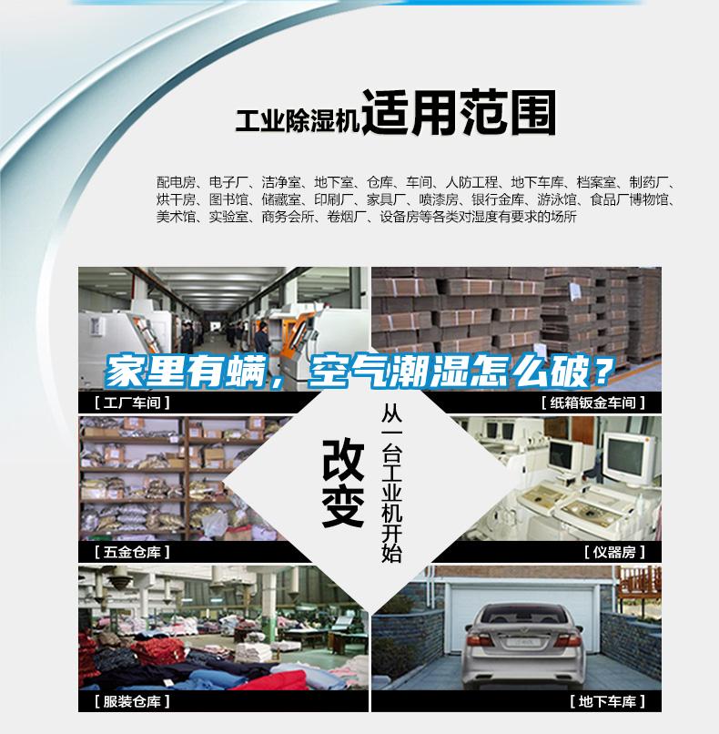 家里有螨，空气潮湿怎么破？