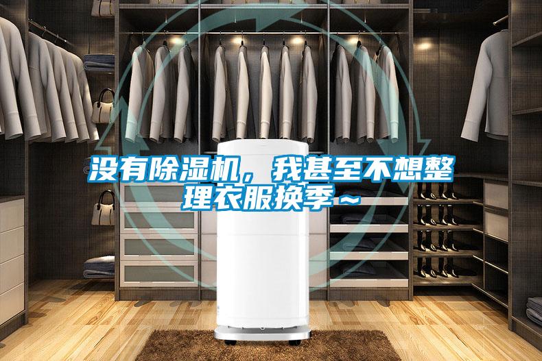 没有草莓视频黄色在线观看机，我甚至不想整理衣服换季～
