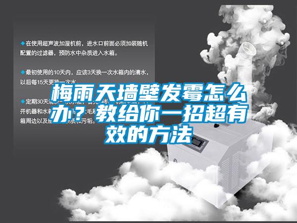 梅雨天墙壁发霉怎么办？教给你一招超有效的方法