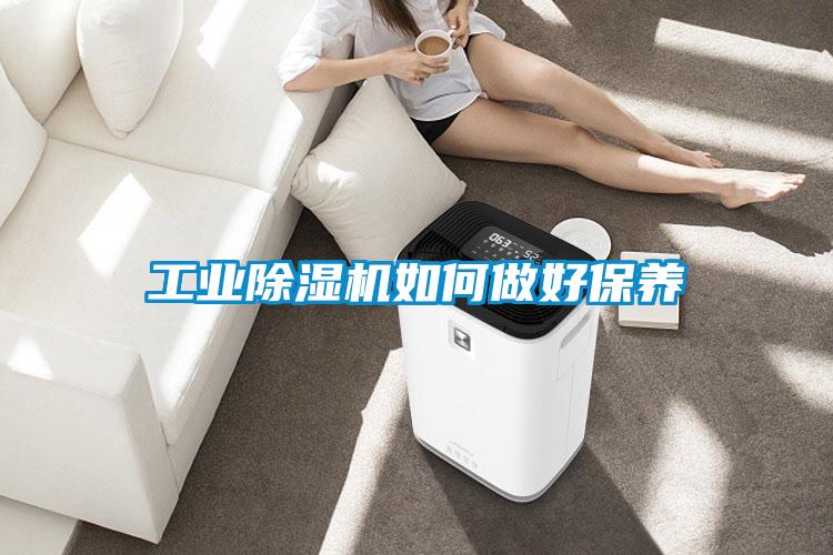 工业草莓视频黄色在线观看机如何做好保养